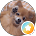 (株)聖和ホームズ