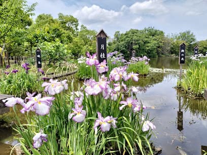 花しょうぶ園