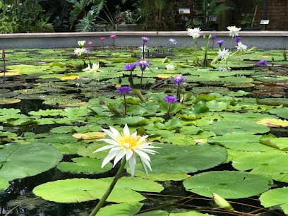水生花園