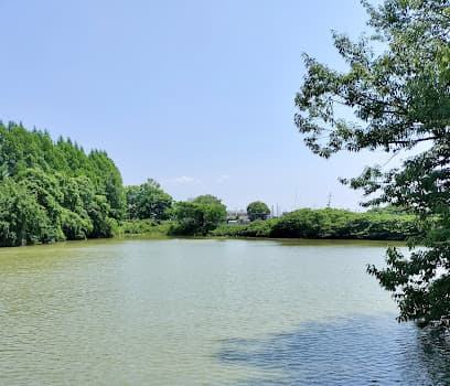 中の池